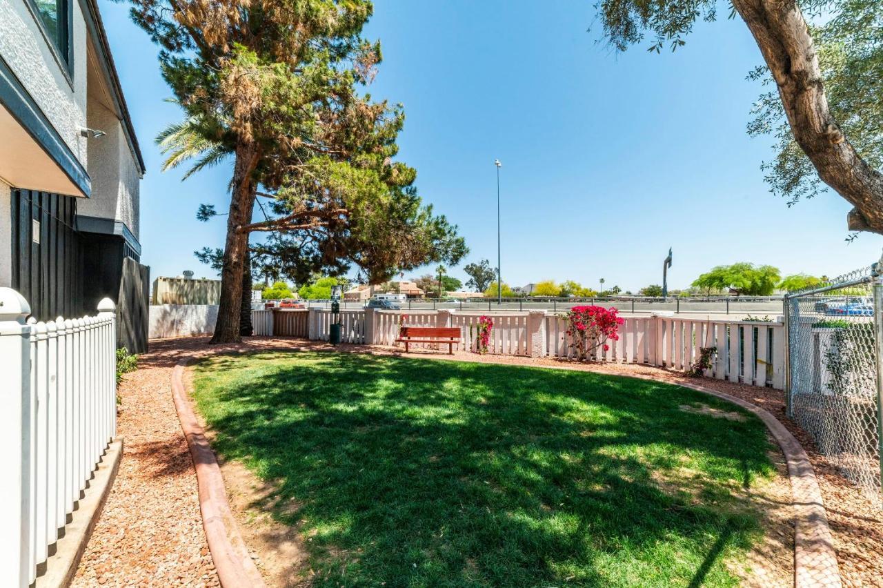 Metro Phx Downstairs Studio Sleeps 4 Ada Accessible Phoenix Esterno foto
